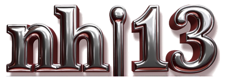 nh113 logo